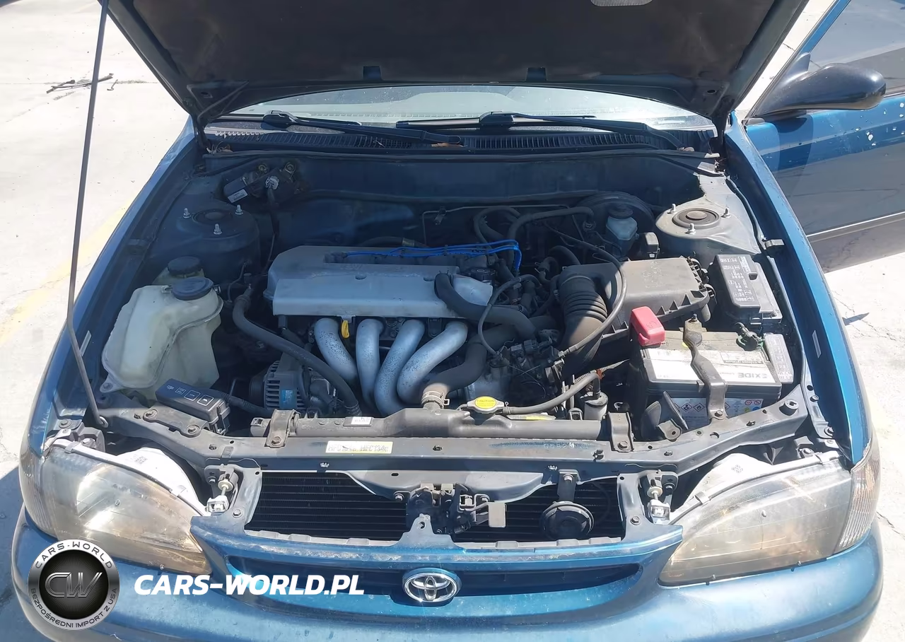 1998 Toyota Corolla Ce VIN:1NXBR12E9WZ030415 - 10