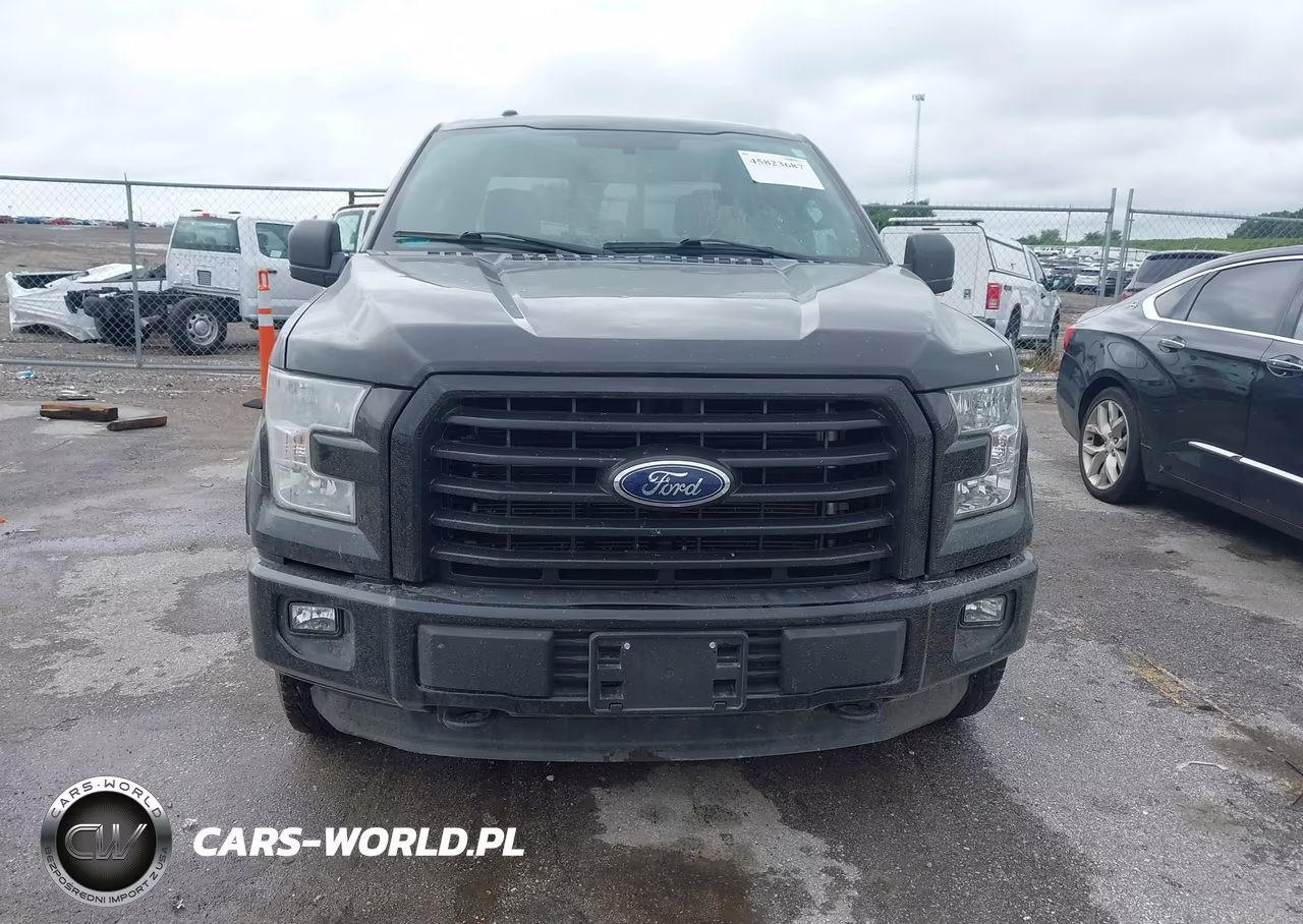 2015 Ford F-150 Xlt VIN:1FTEW1EF5FFA05093 - 12
