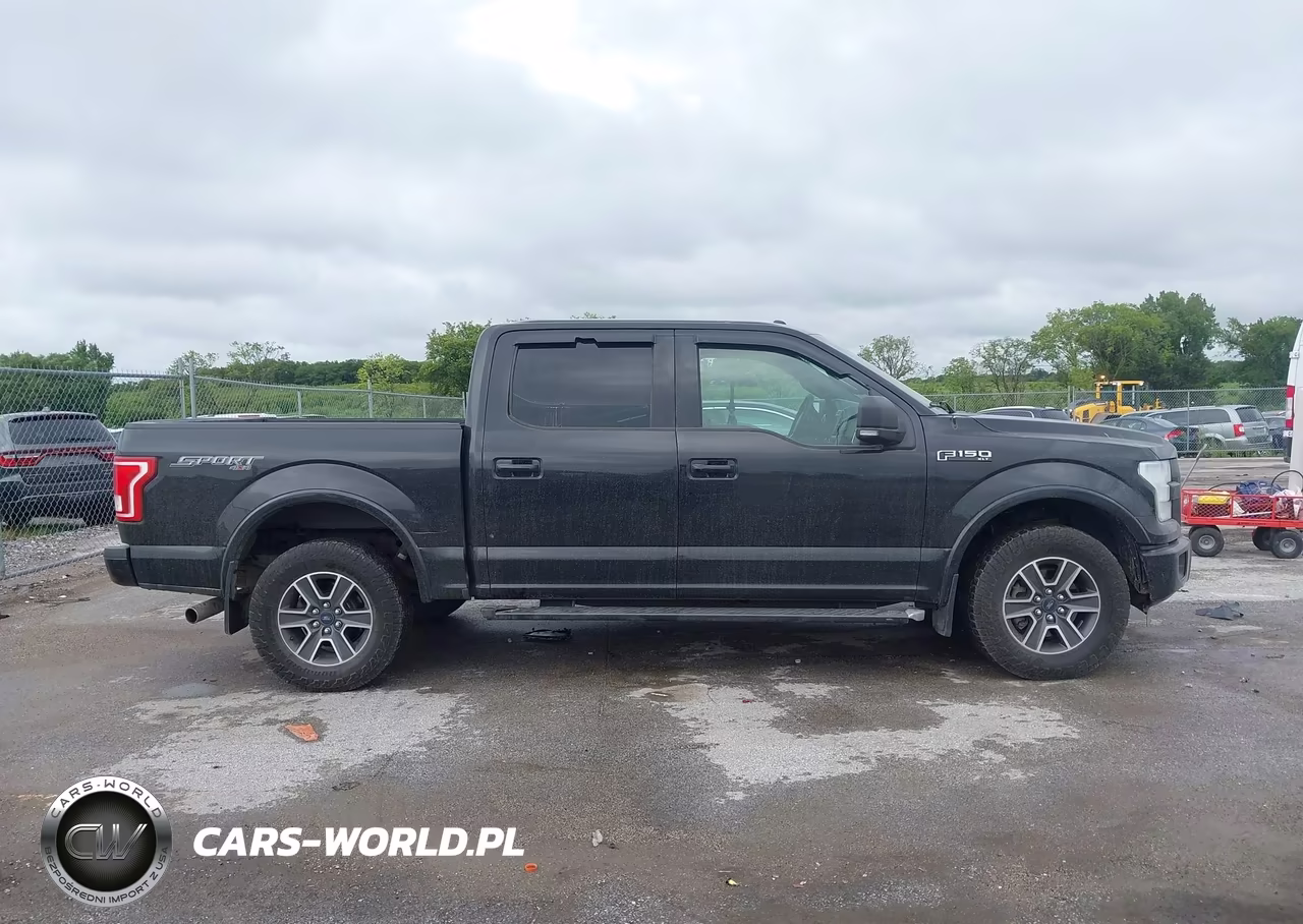 2015 Ford F-150 Xlt VIN:1FTEW1EF5FFA05093 - 13