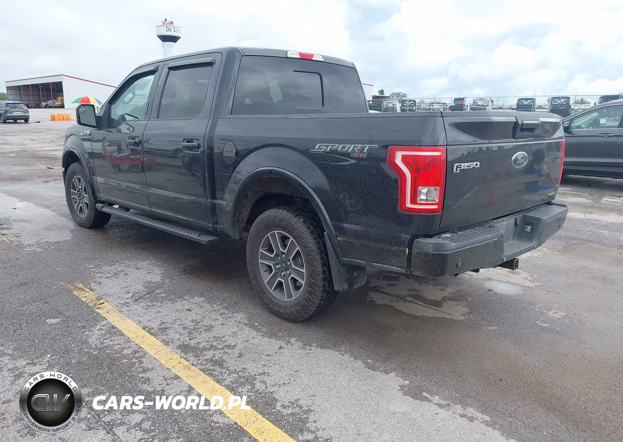 2015 Ford F-150 Xlt VIN:1FTEW1EF5FFA05093 - 3