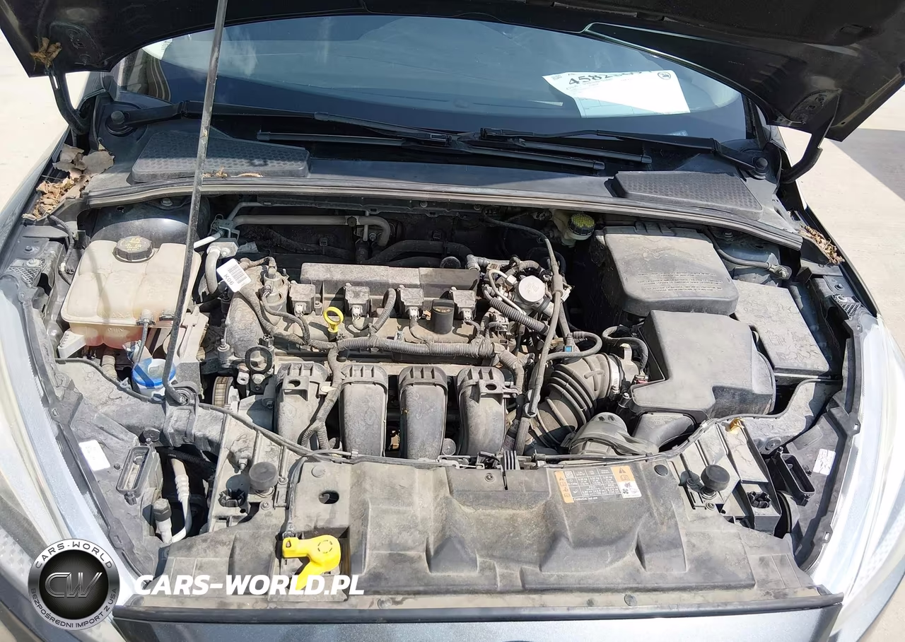 2016 Ford Focus Se VIN:1FADP3F21GL365938 - 10
