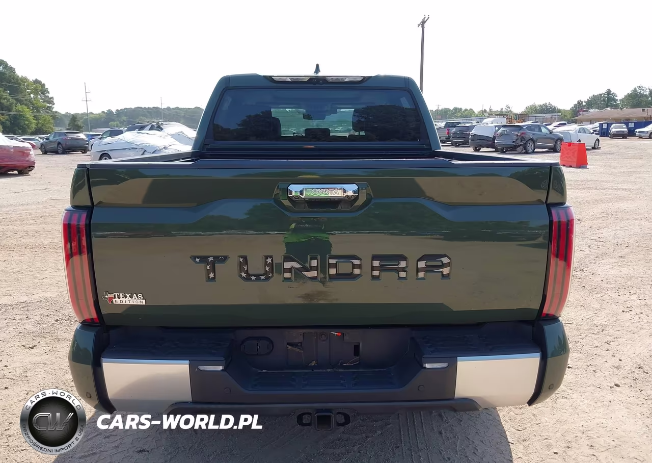 2022 Toyota Tundra Limited VIN:5TFJA5AB1NX004779 - 17