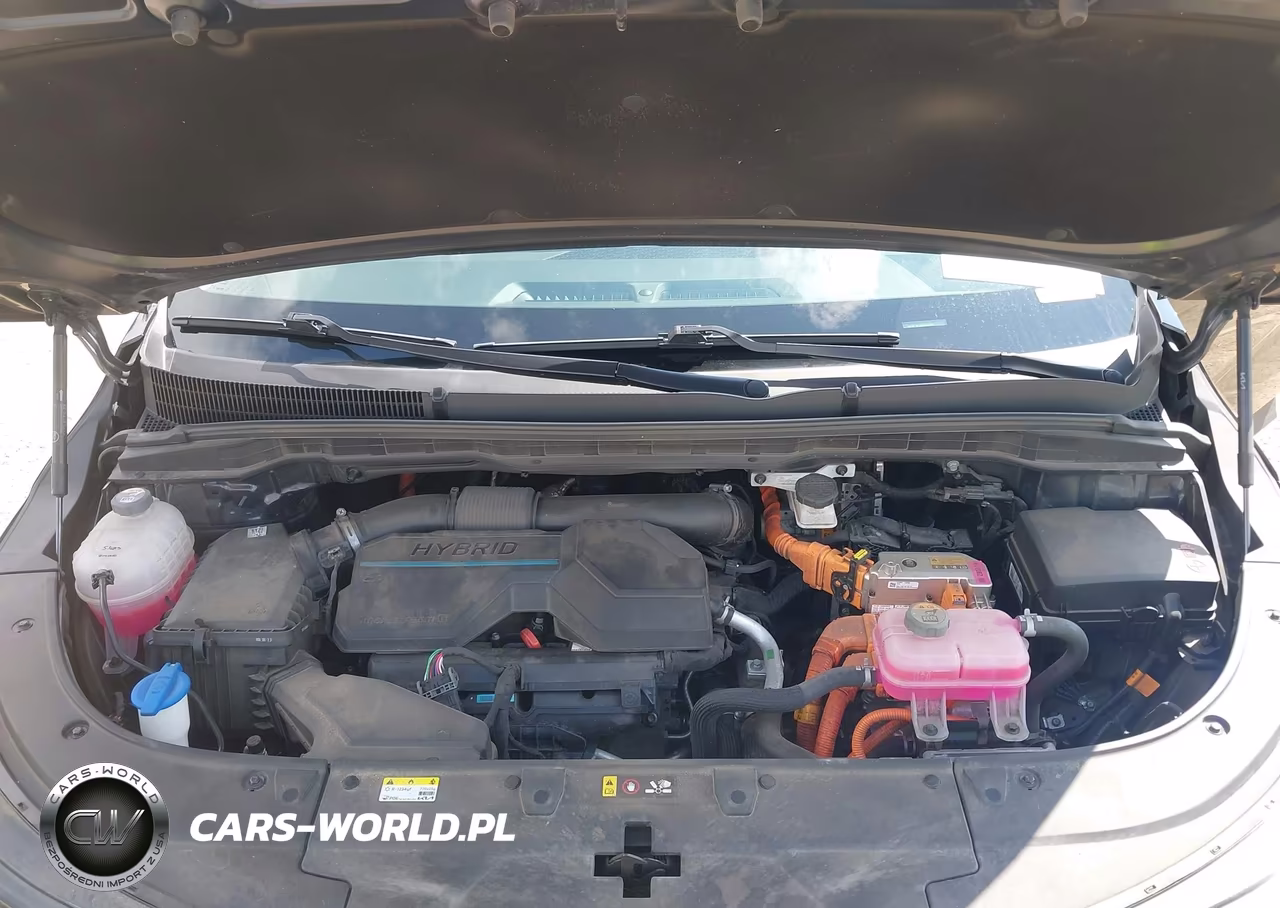 2025 Kia Carnival Mpv Hybrid Ex VIN:KNDNC5KA6S6043659 - 10