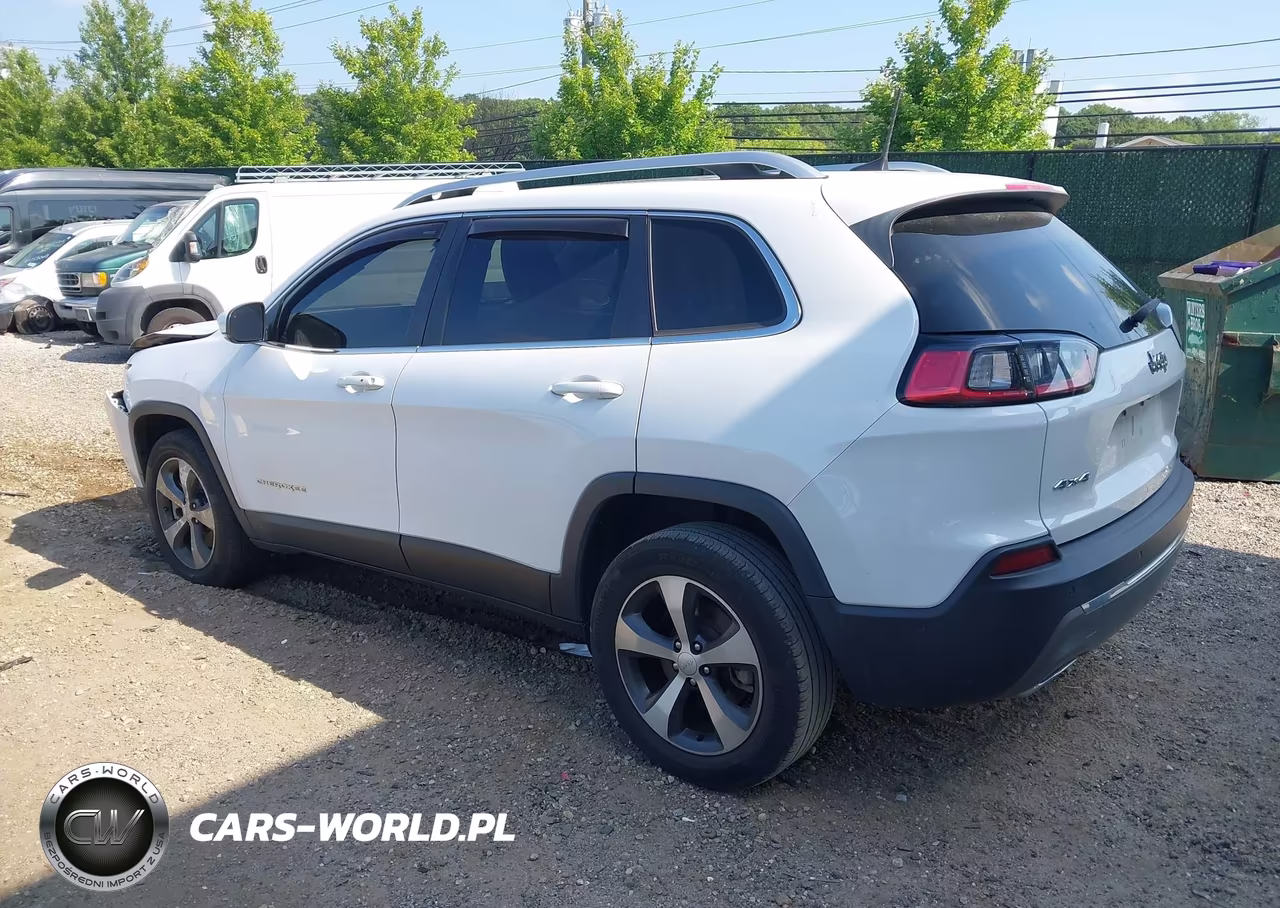 2021 Jeep Cherokee Limited 4X4 VIN:1C4PJMDX4MD209315 - 3