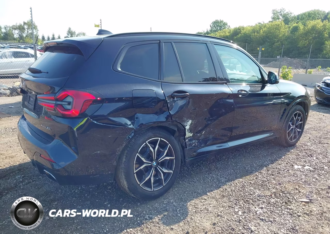 2022 BMW X3 xDrive30I VIN:5UX53DP09N9L49850 - 4