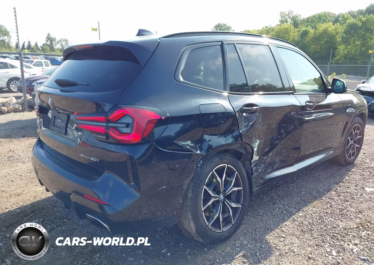 2022 BMW X3 xDrive30I VIN:5UX53DP09N9L49850 - 6