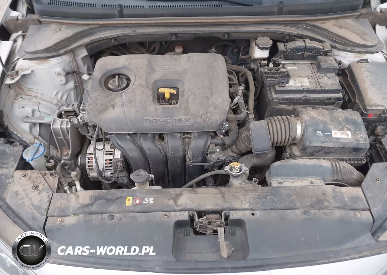 2019 Hyundai Elantra Sel VIN:5NPD84LFXKH480443 - 10