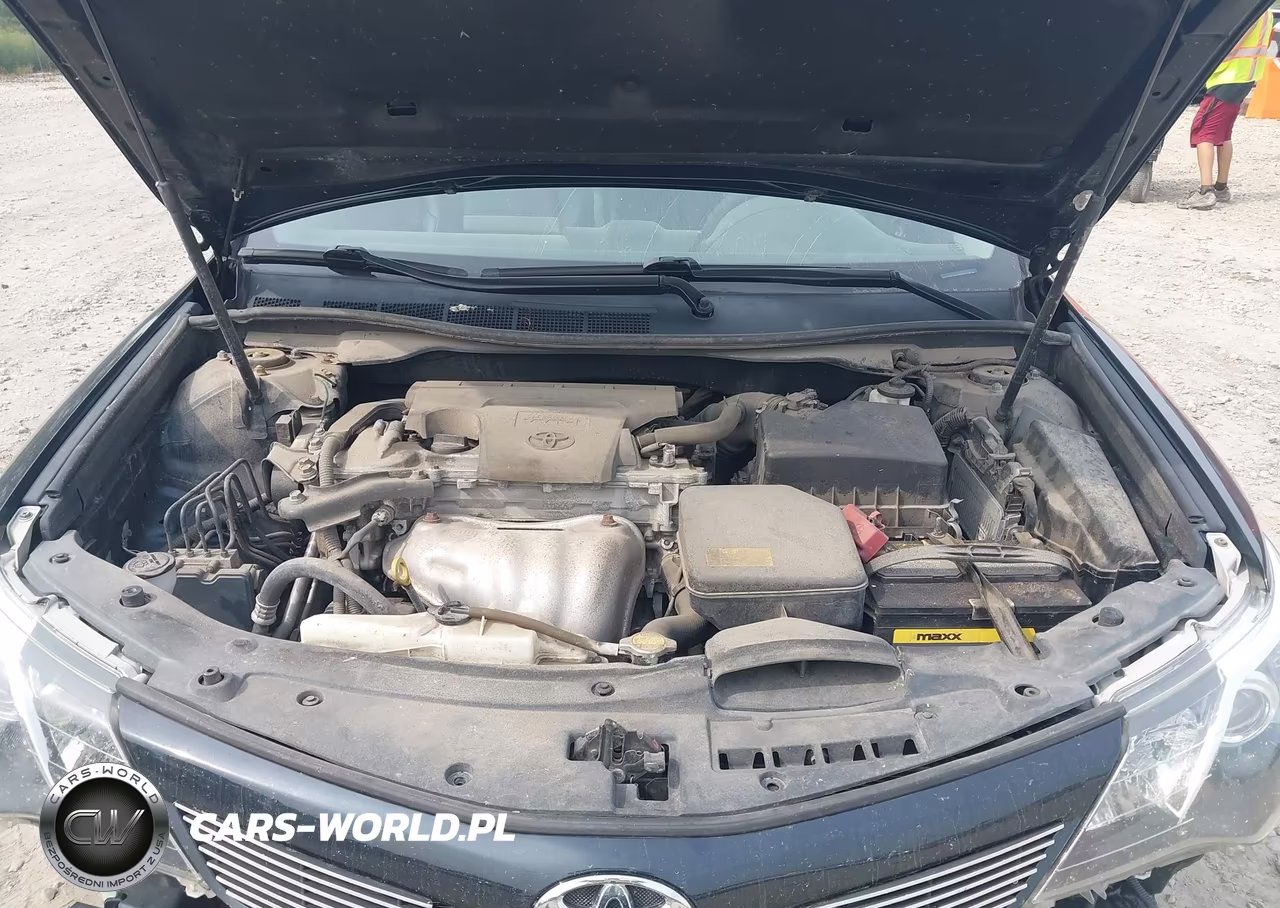 2014 Toyota Camry Se VIN:4T1BF1FK8EU316165 - 10