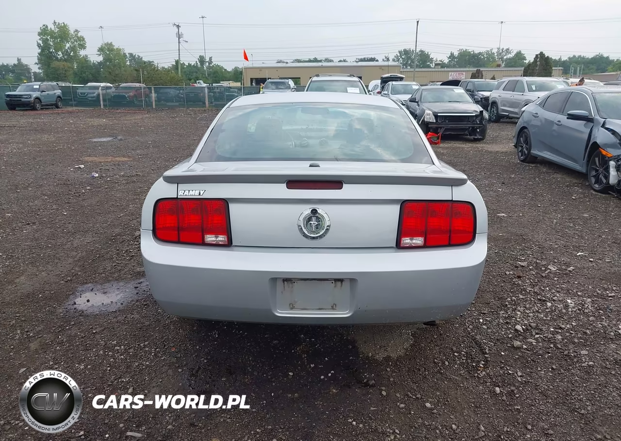 2007 Ford Mustang V6 Deluxe-V6 Premium VIN:1ZVHT80N075239952 - 17