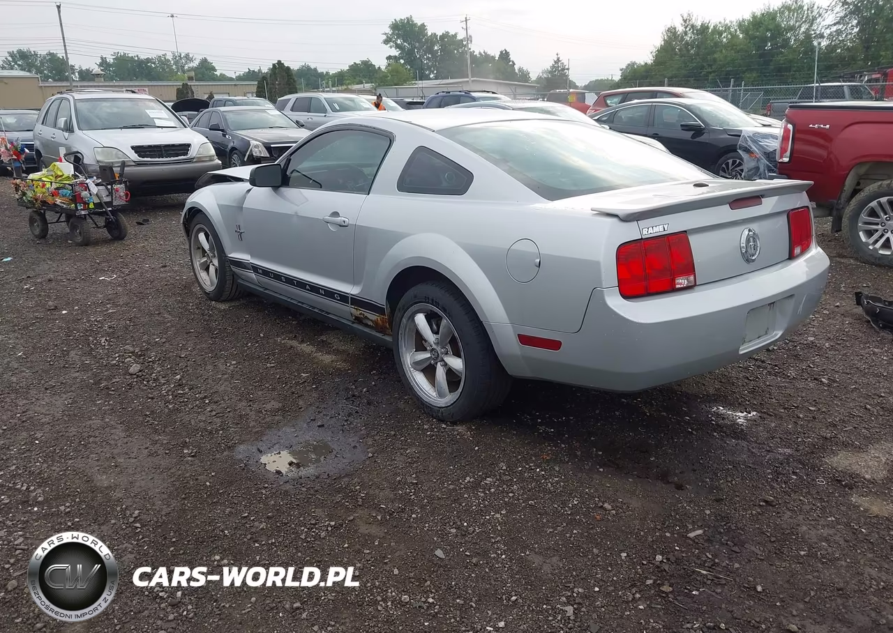 2007 Ford Mustang V6 Deluxe-V6 Premium VIN:1ZVHT80N075239952 - 3
