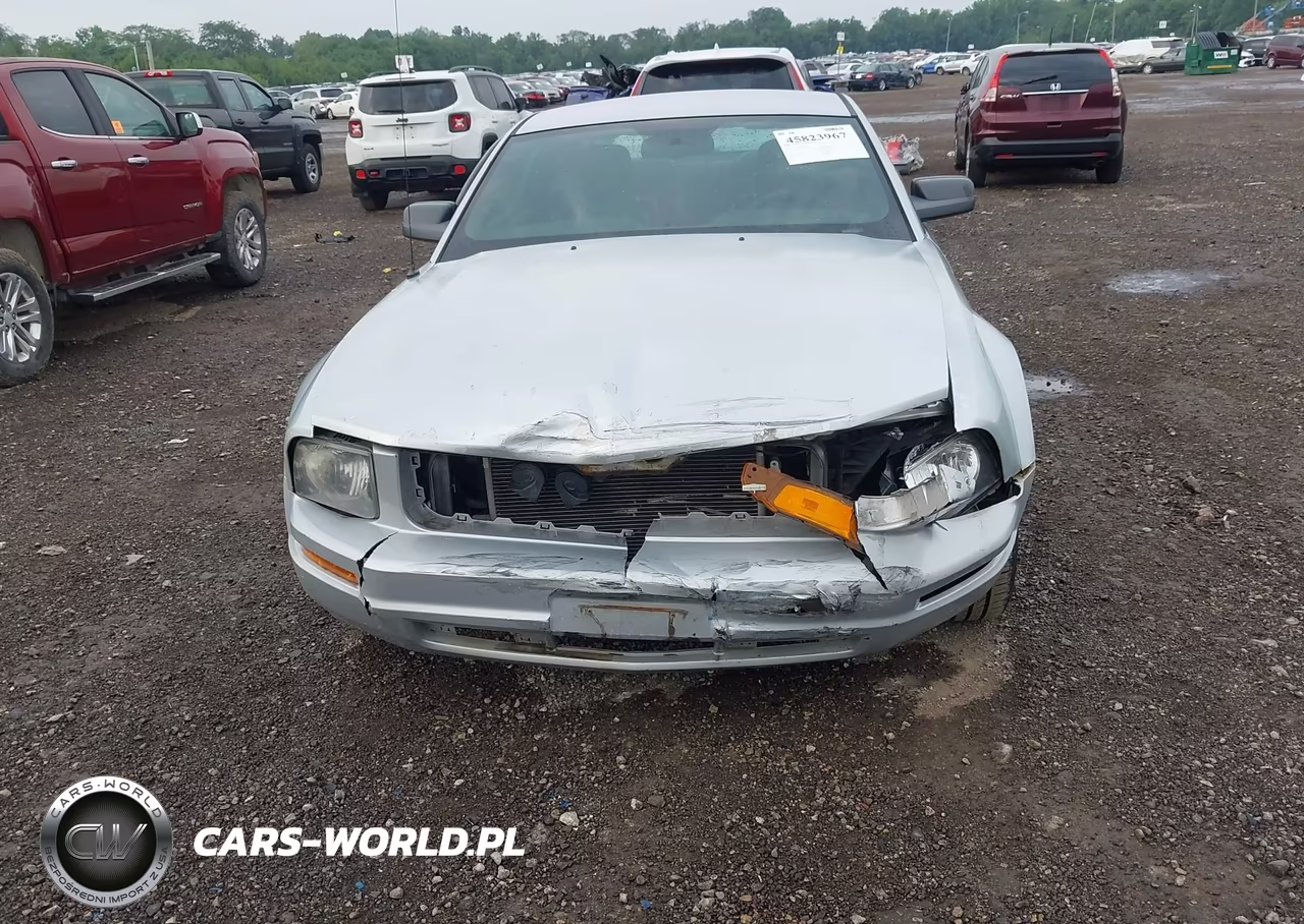 2007 Ford Mustang V6 Deluxe-V6 Premium VIN:1ZVHT80N075239952 - 6