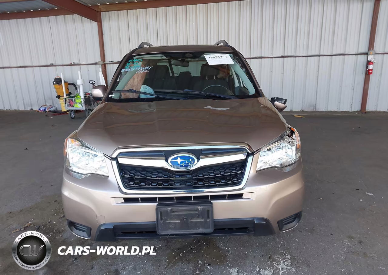 2016 Subaru Forester 2.5I Premium VIN:JF2SJADC1GH449393 - 12