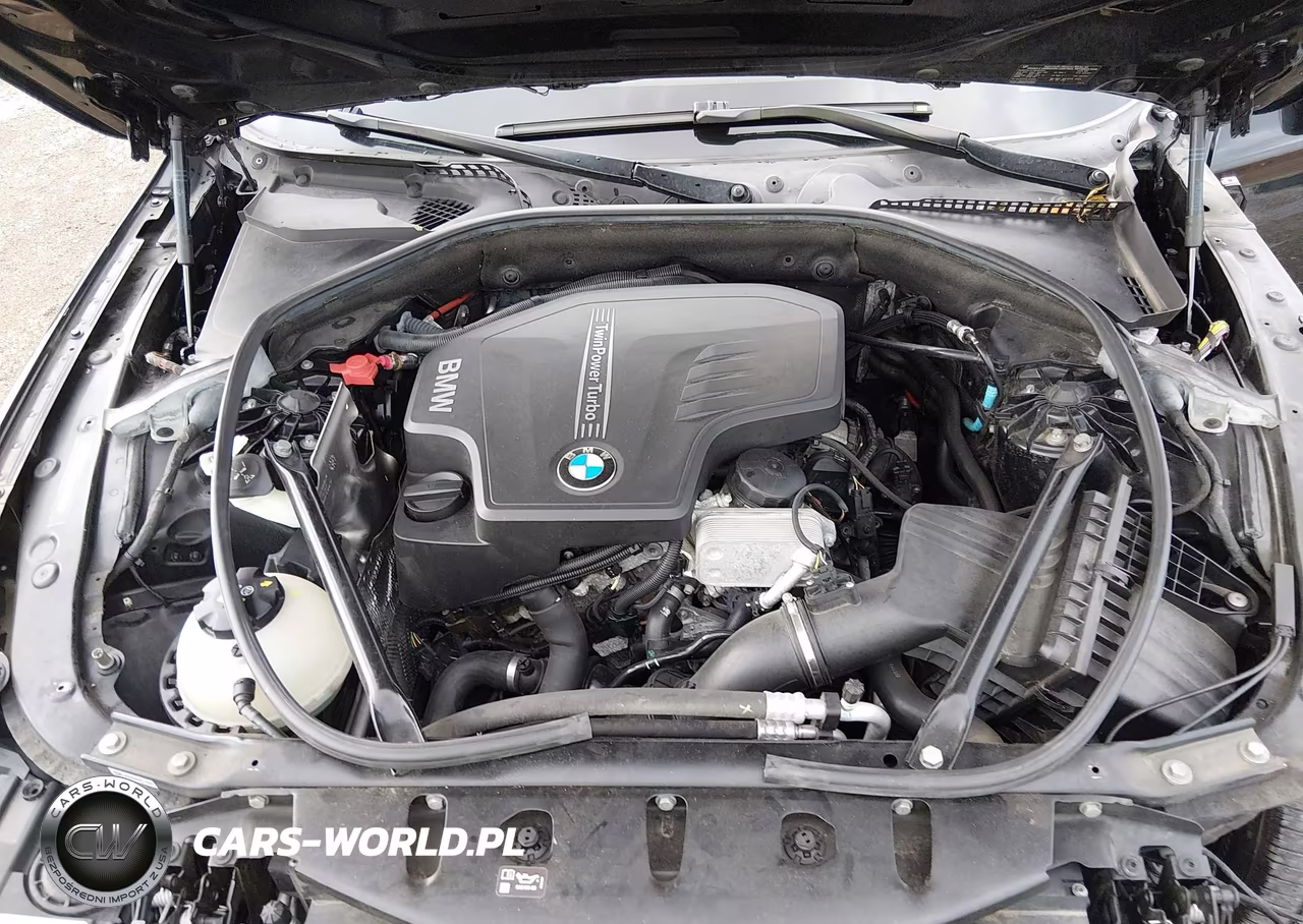 2016 BMW 528I xDrive VIN:WBA5A7C54GG146354 - 10