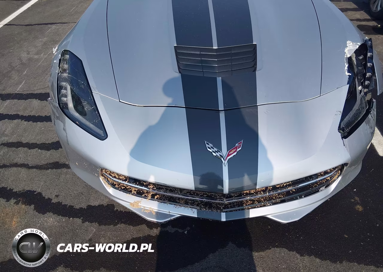 2017 Chevrolet Corvette Stingray Z51 VIN:1G1YK2D7XH5117043 - 19