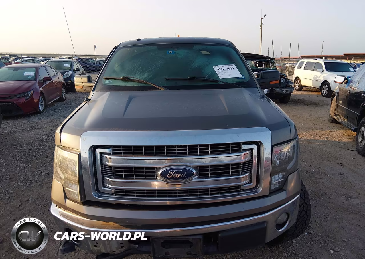 2013 Ford F-150 Xlt VIN:1FTFW1CF7DKE16264 - 12