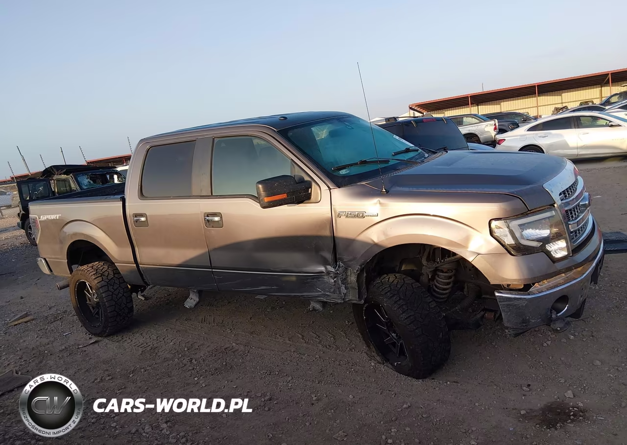 2013 Ford F-150 Xlt VIN:1FTFW1CF7DKE16264 - 13