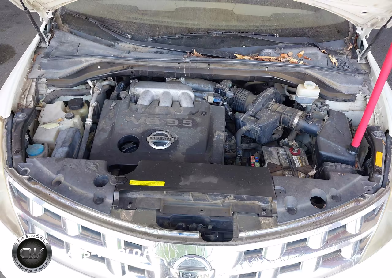 2004 Nissan Murano Se VIN:JN8AZ08W64W305223 - 10