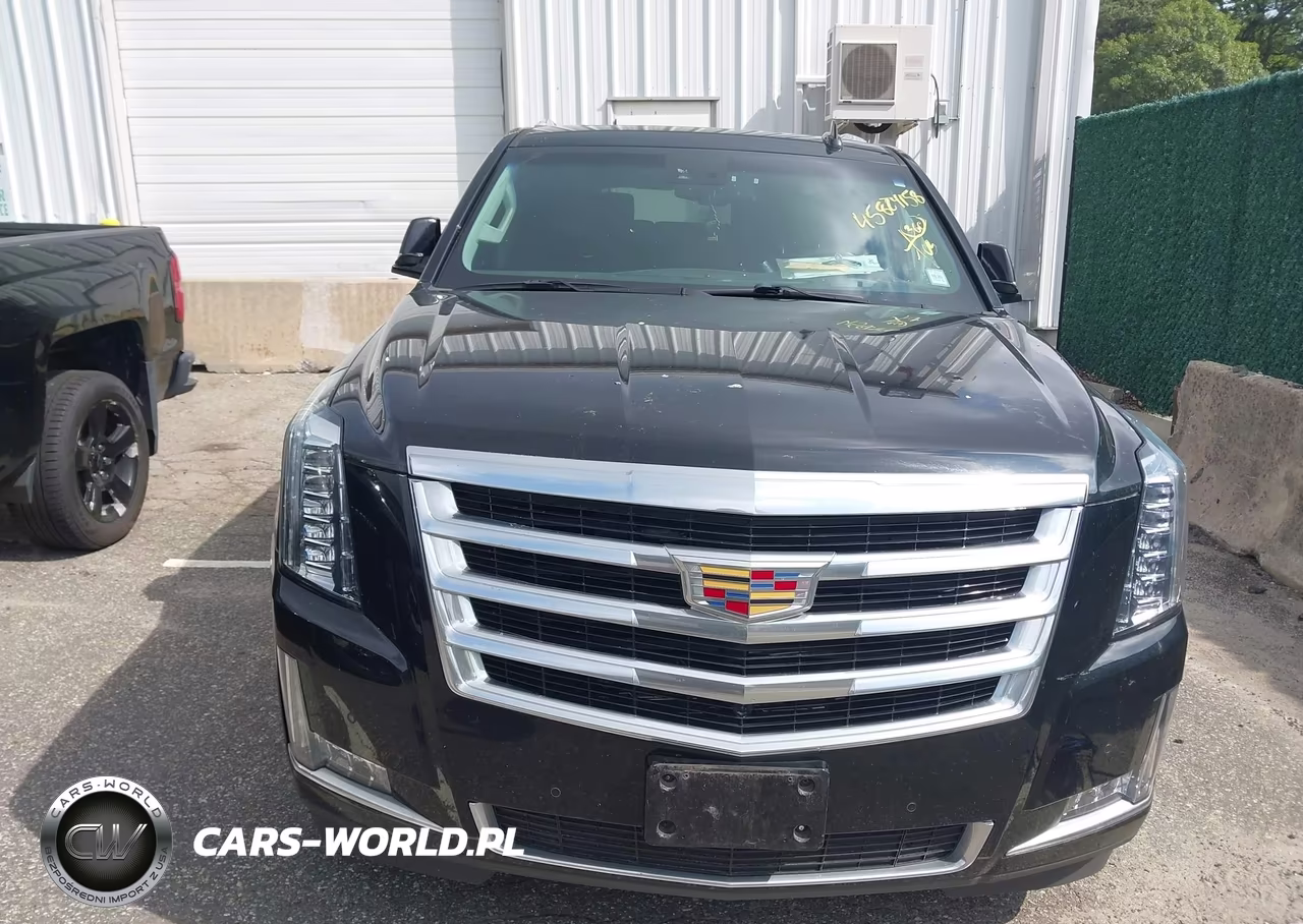 2016 Cadillac Escalade Esv Luxury Collection VIN:1GYS4HKJ2GR334225 - 12