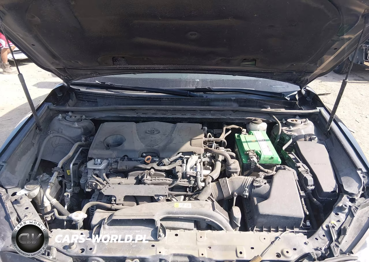2019 Toyota Camry Se VIN:4T1B11HK0KU273464 - 10