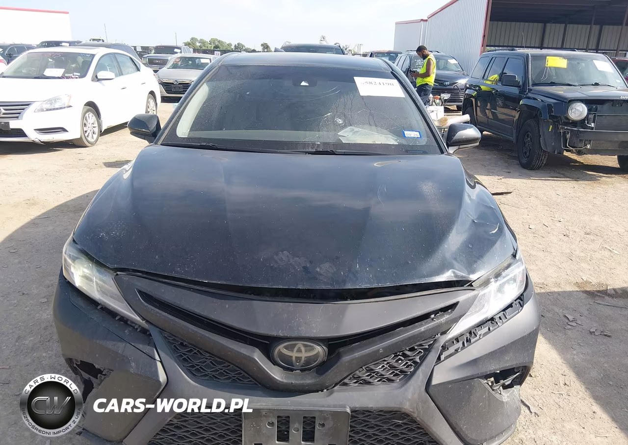 2019 Toyota Camry Se VIN:4T1B11HK0KU273464 - 12