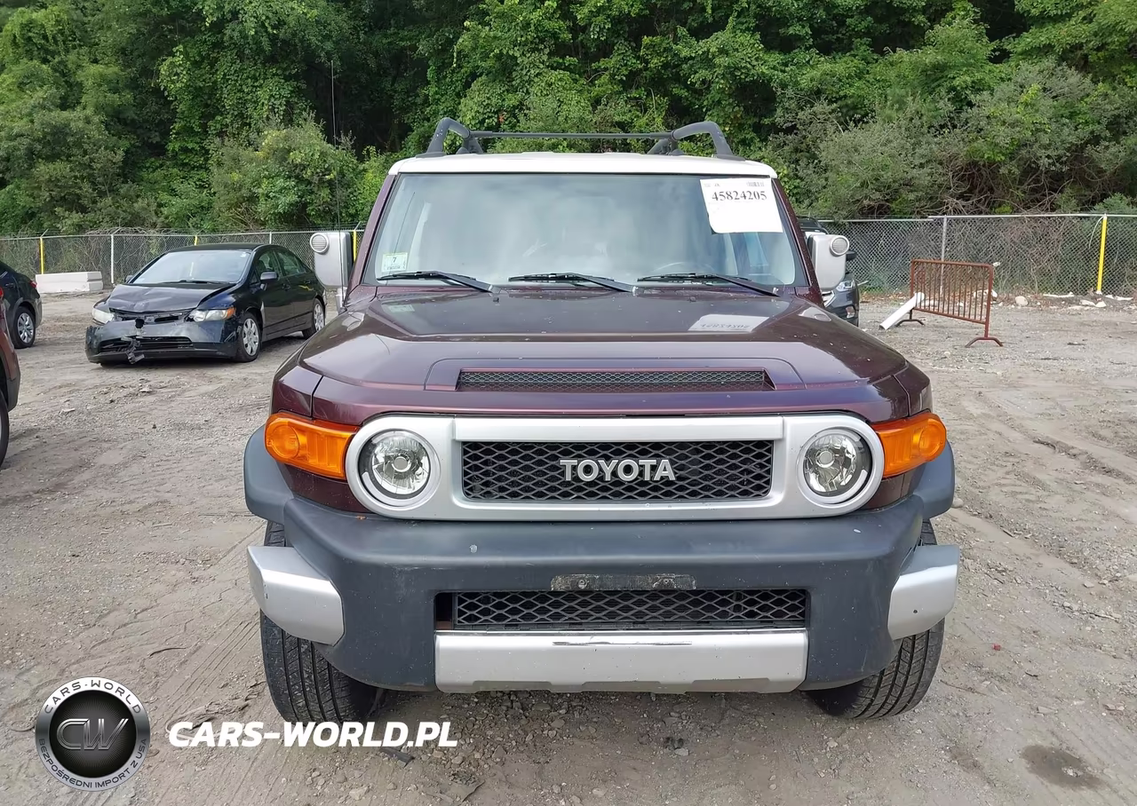 2007 Toyota Fj Cruiser VIN:JTEBU11F670039302 - 10