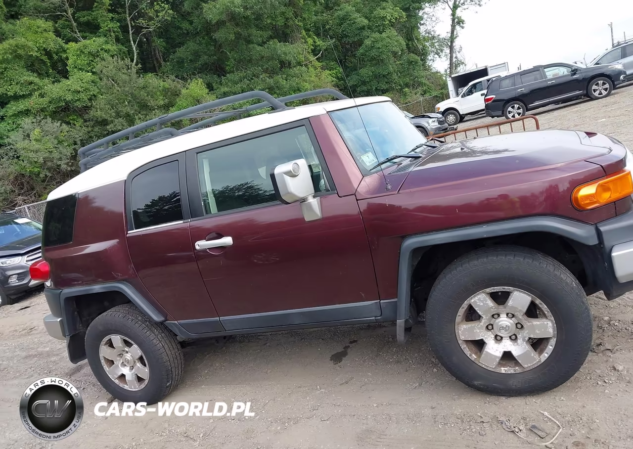 2007 Toyota Fj Cruiser VIN:JTEBU11F670039302 - 11