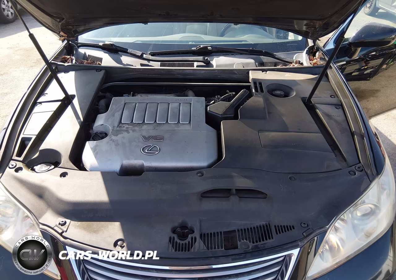 2009 Lexus Es 350 VIN:JTHBJ46G692292948 - 10