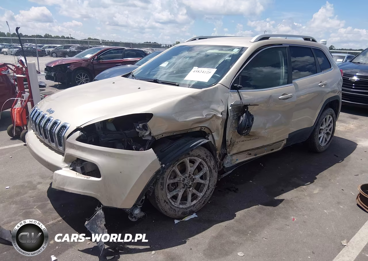 JEEP CHEROKEE L VIN:1C4PJLCB6EW231676 - 2