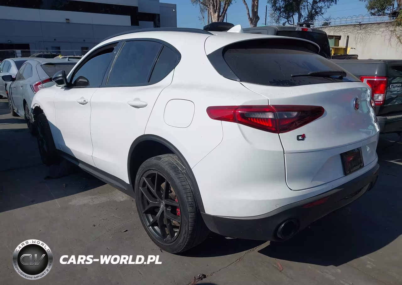 2019 Alfa Romeo Stelvio Ti Sport Awd VIN:ZASPAKBN6K7C50828 - 3