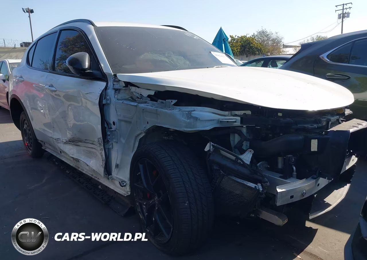 2019 Alfa Romeo Stelvio Ti Sport Awd VIN:ZASPAKBN6K7C50828 - 6