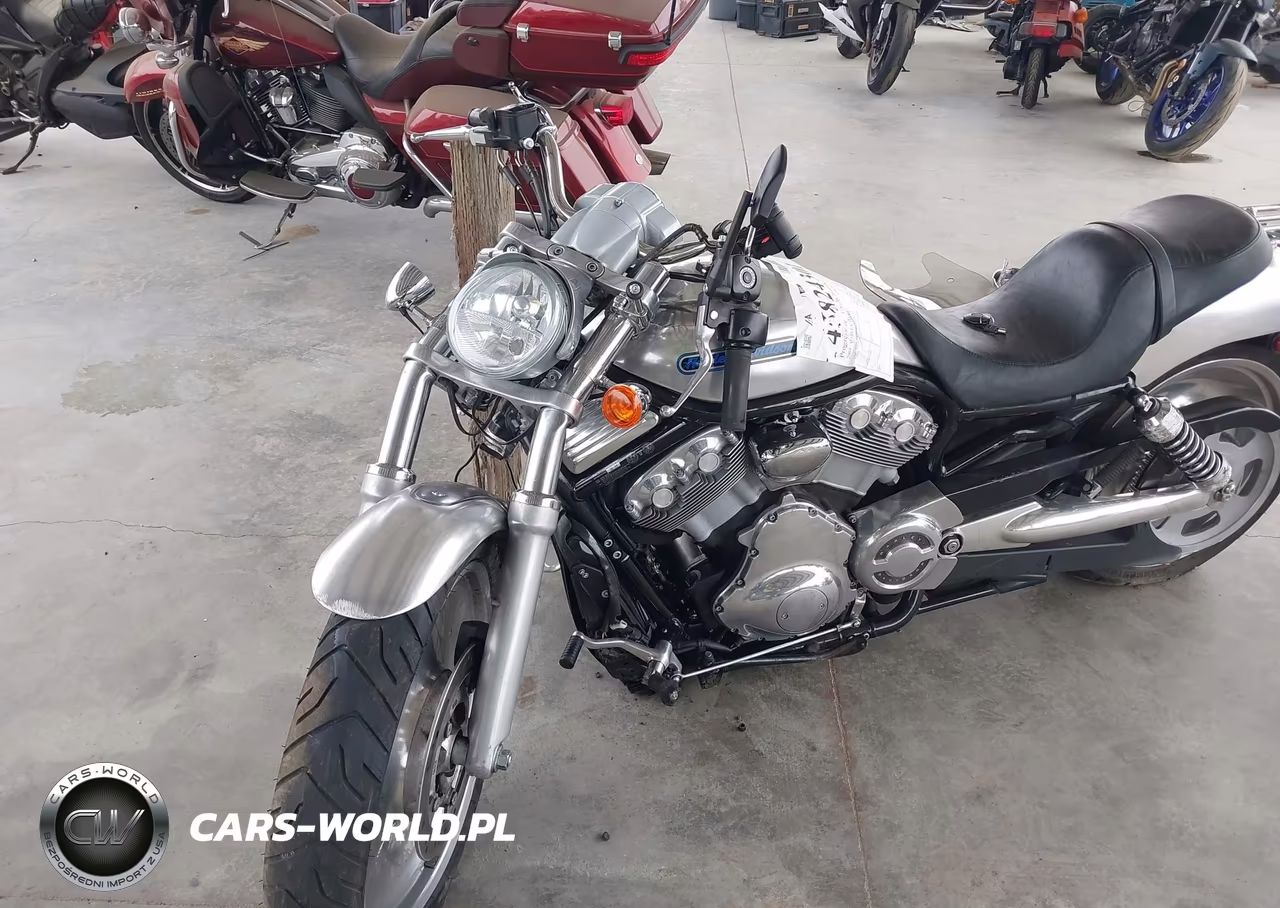 2004 Harley-Davidson Vrscb VIN:1HD1HBZ334K811239 - 2