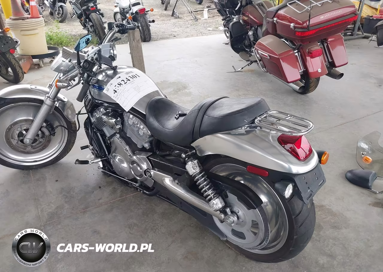 2004 Harley-Davidson Vrscb VIN:1HD1HBZ334K811239 - 3