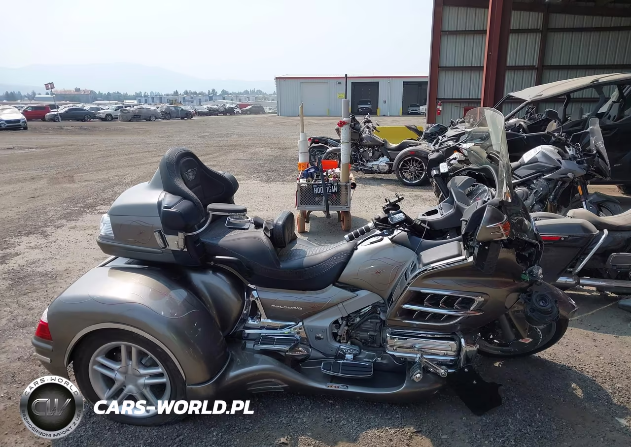 2006 Honda Gl1800 VIN:1HFSC47F66A501548 - 12
