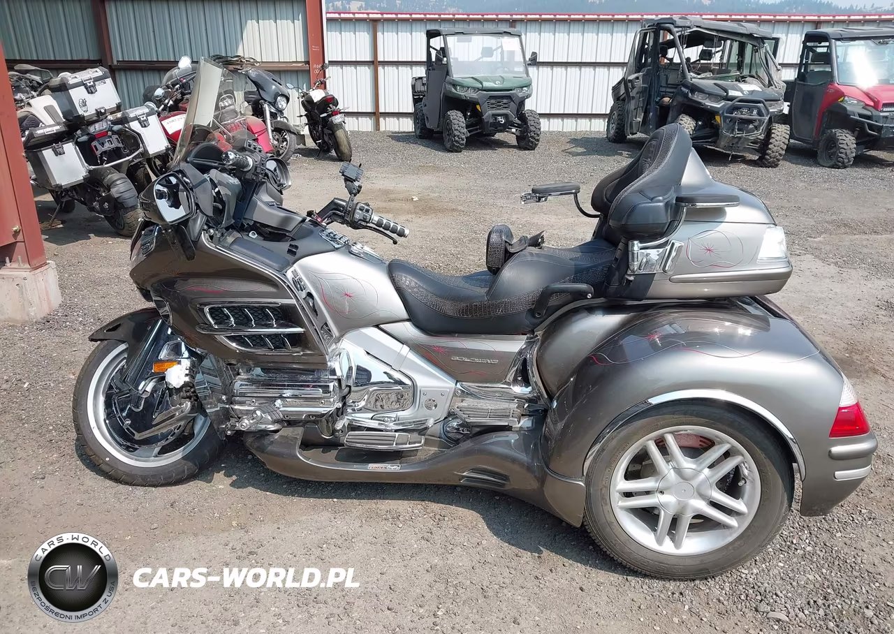 2006 Honda Gl1800 VIN:1HFSC47F66A501548 - 13