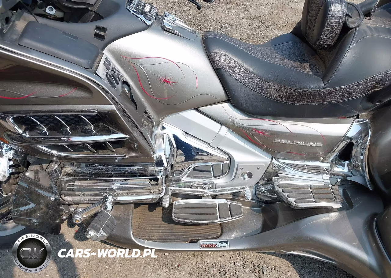 2006 Honda Gl1800 VIN:1HFSC47F66A501548 - 9