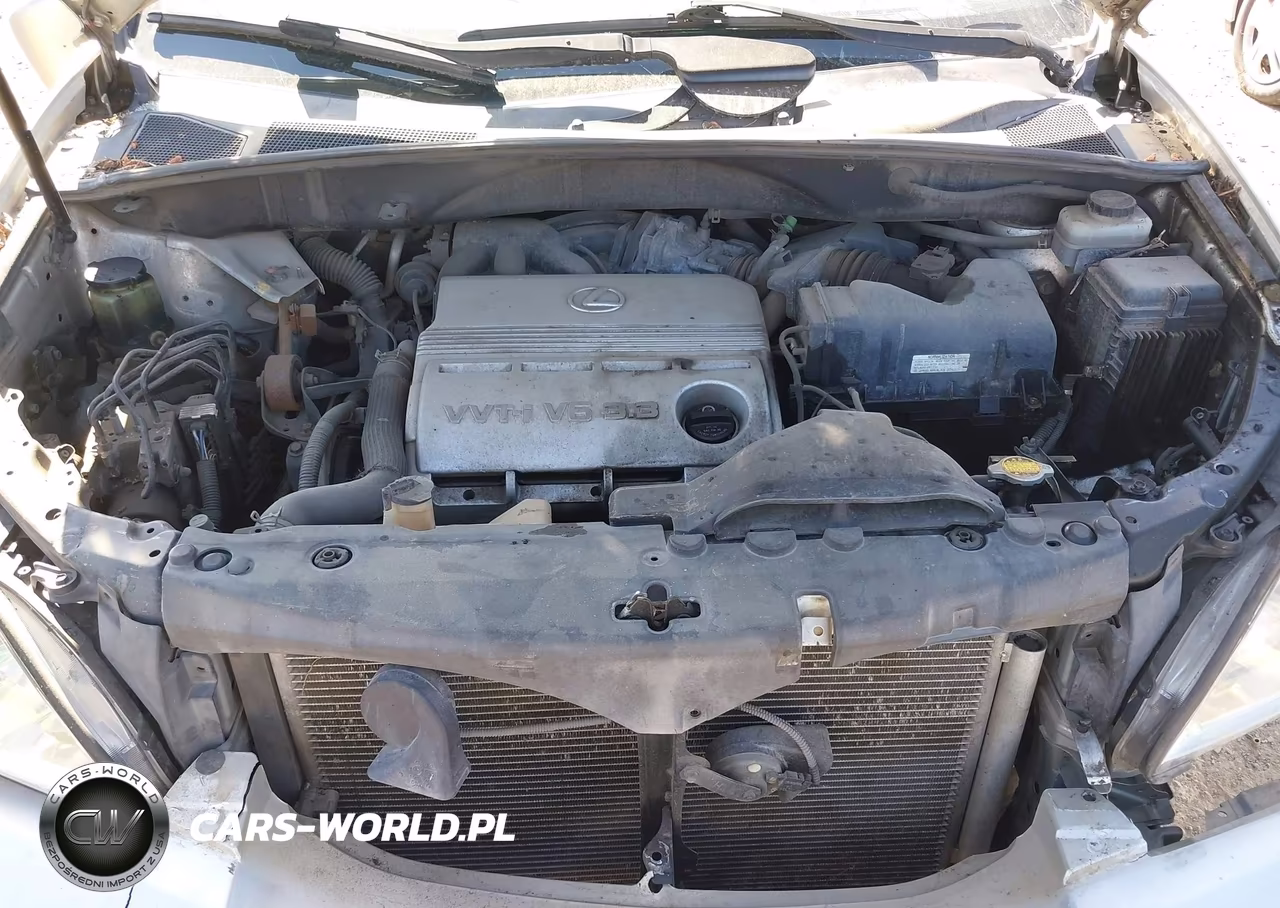 2006 Lexus Rx 330 VIN:JTJGA31U560060876 - 10