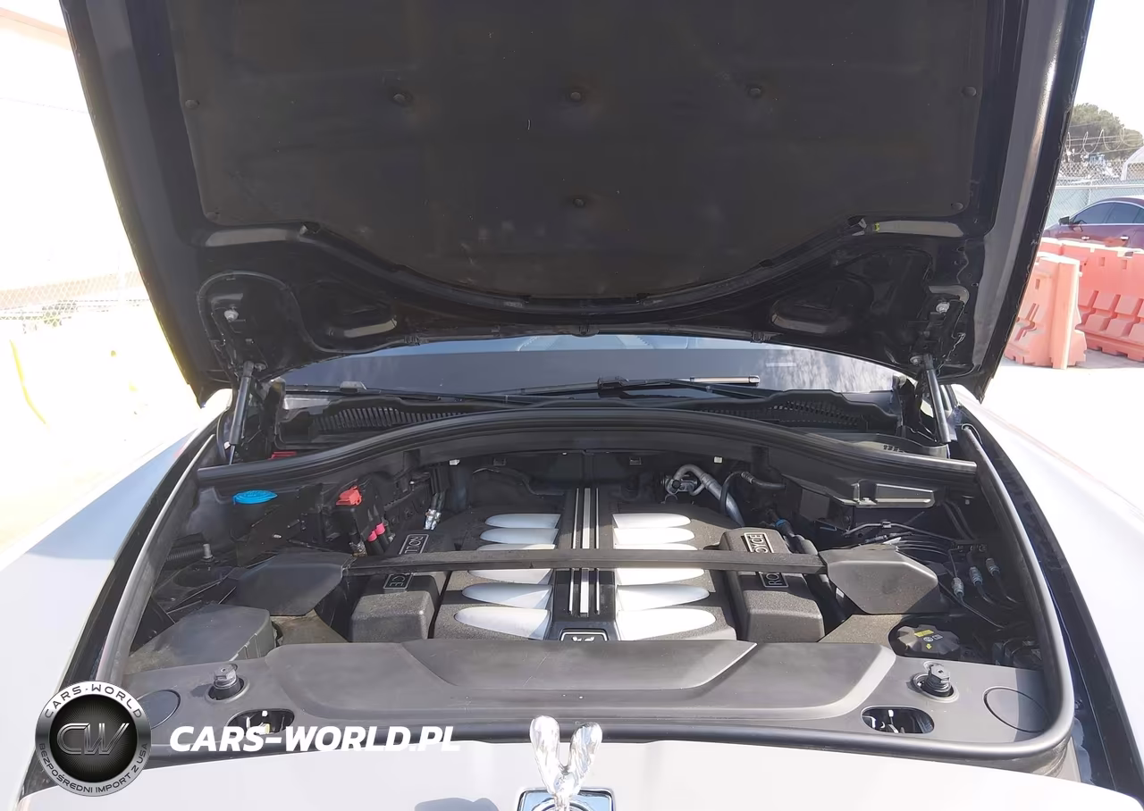 2019 Rolls-Royce Cullinan VIN:SLA689X50KU114060 - 10