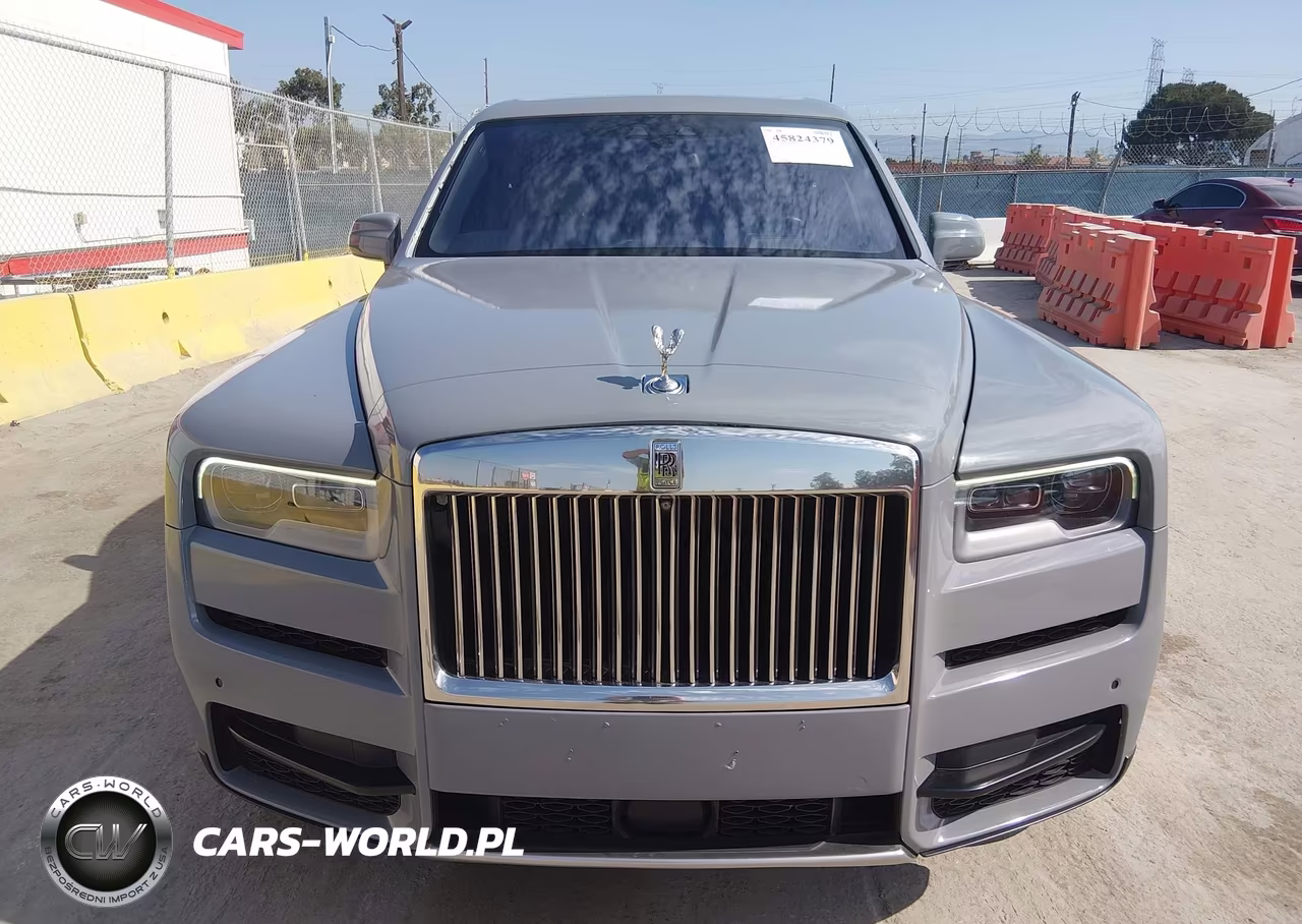 2019 Rolls-Royce Cullinan VIN:SLA689X50KU114060 - 12