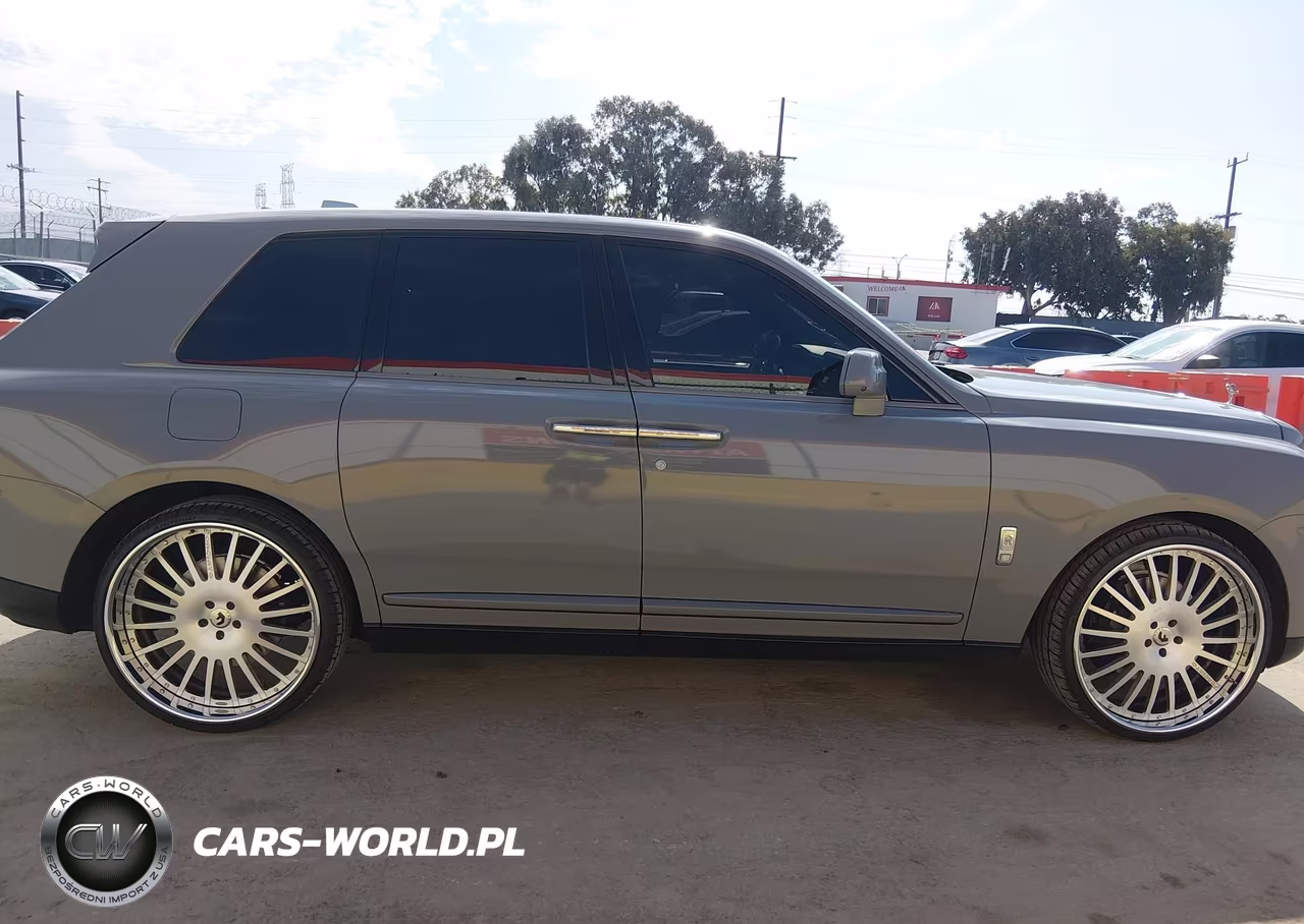 2019 Rolls-Royce Cullinan VIN:SLA689X50KU114060 - 13