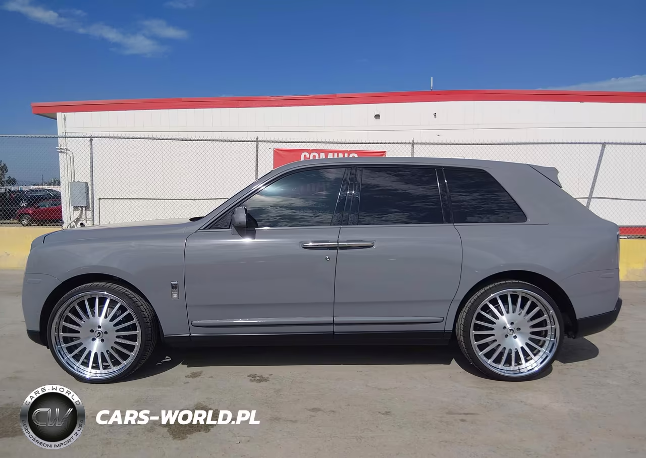 2019 Rolls-Royce Cullinan VIN:SLA689X50KU114060 - 14