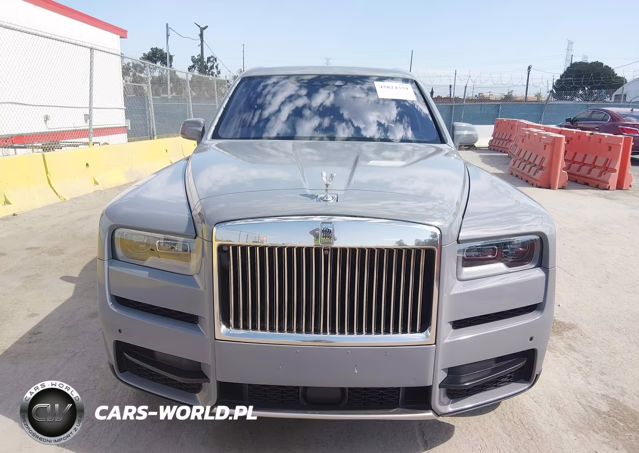 2019 Rolls-Royce Cullinan VIN:SLA689X50KU114060 - 6