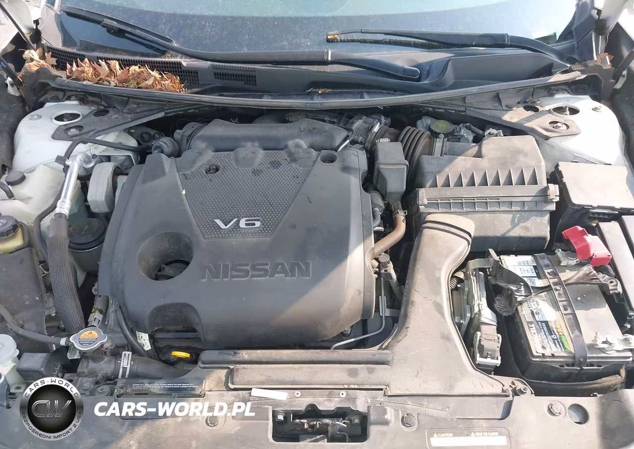 2020 Nissan Maxima Sr Xtronic Cvt VIN:1N4AA6EV9LC382546 - 10