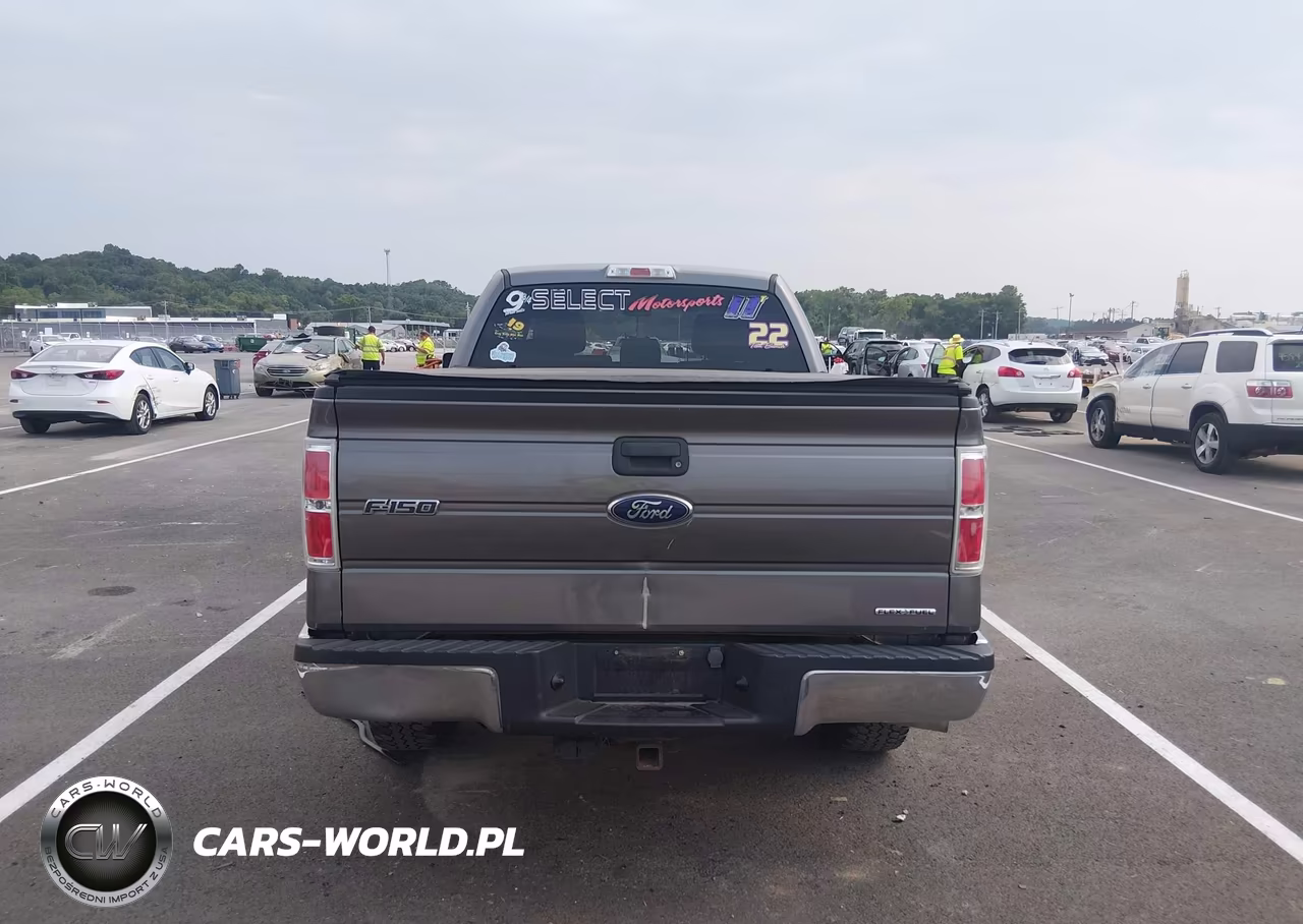 2014 Ford F-150 Xlt VIN:1FTFX1CF7EFC33003 - 17