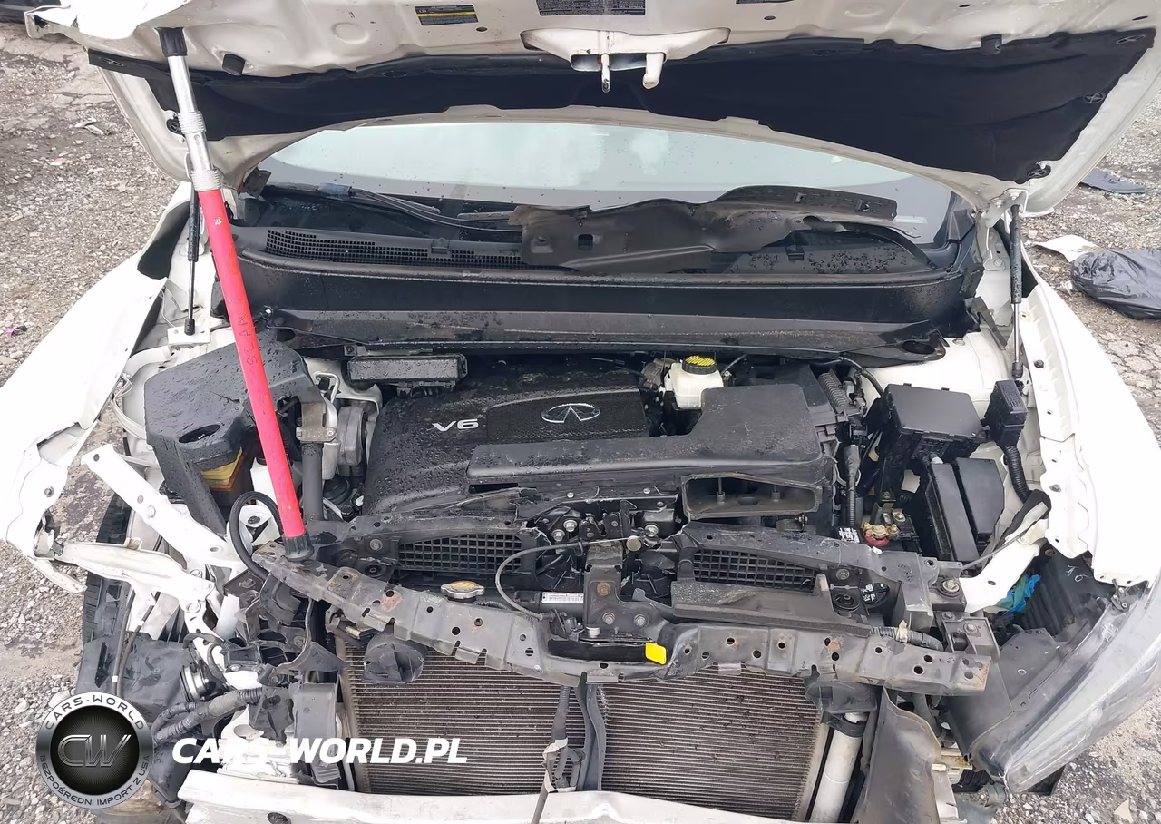 2018 Infiniti Qx60 VIN:5N1DL0MM5JC508417 - 10