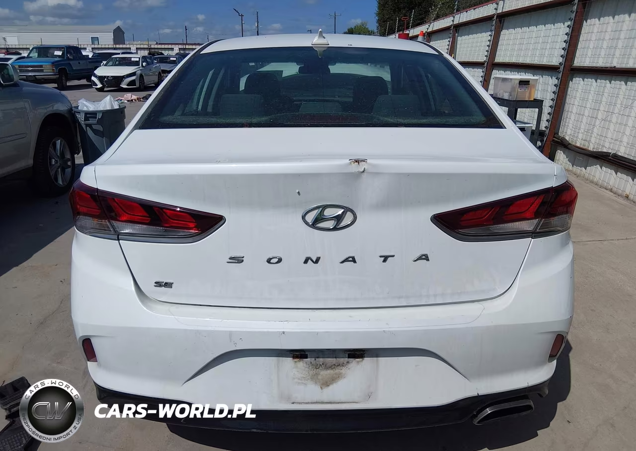 2019 Hyundai Sonata Se VIN:5NPE24AF9KH753381 - 17