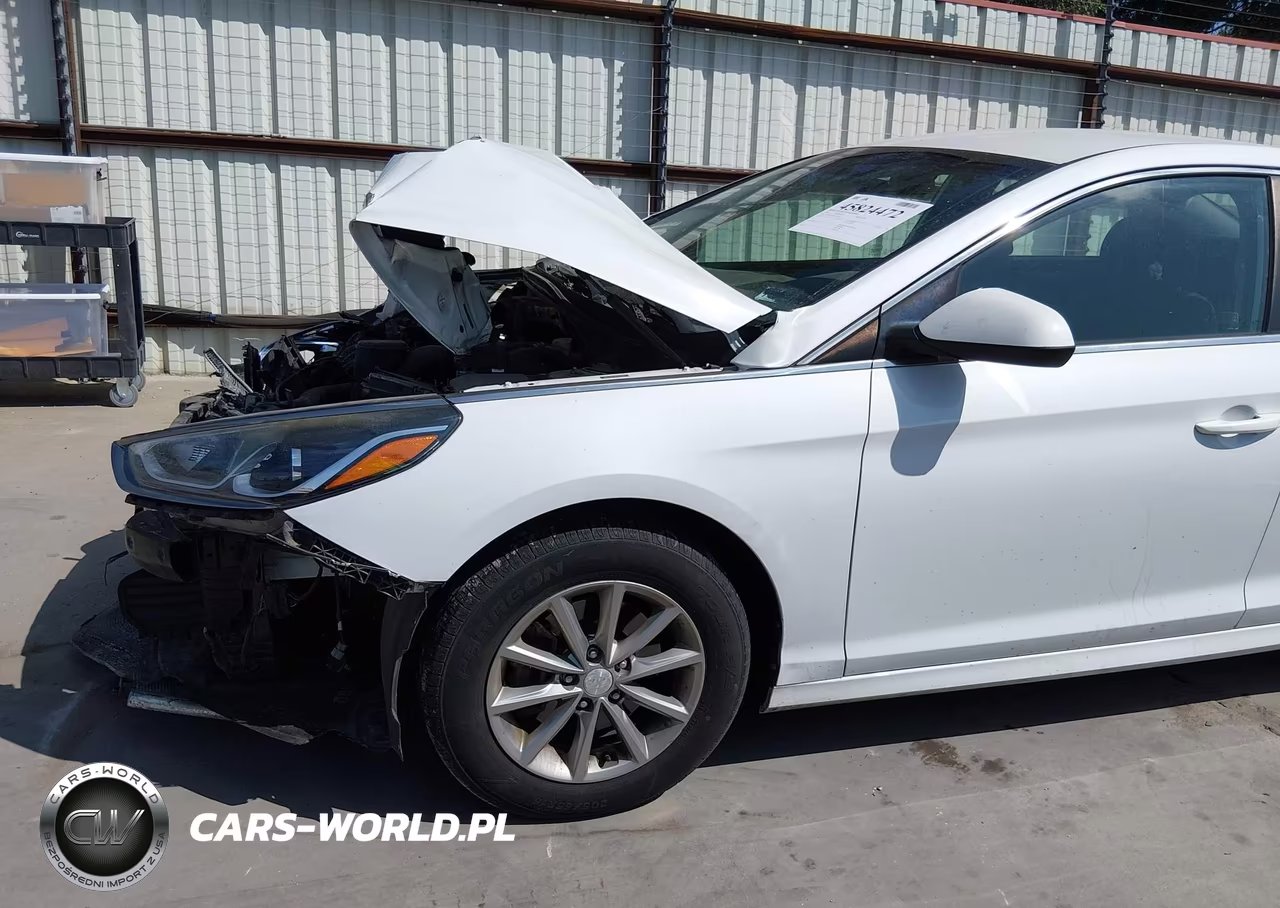 2019 Hyundai Sonata Se VIN:5NPE24AF9KH753381 - 19
