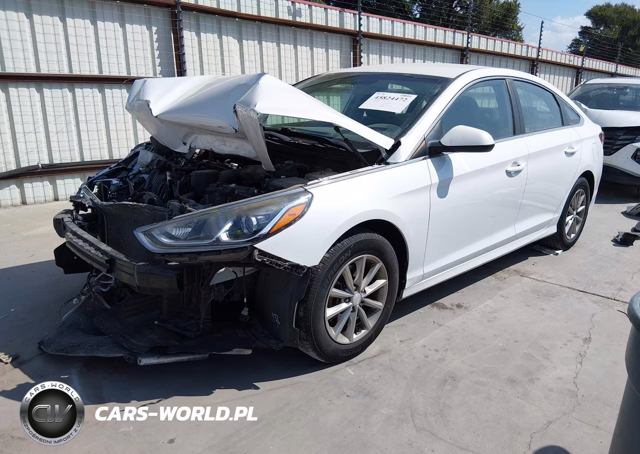 2019 Hyundai Sonata Se VIN:5NPE24AF9KH753381 - 2