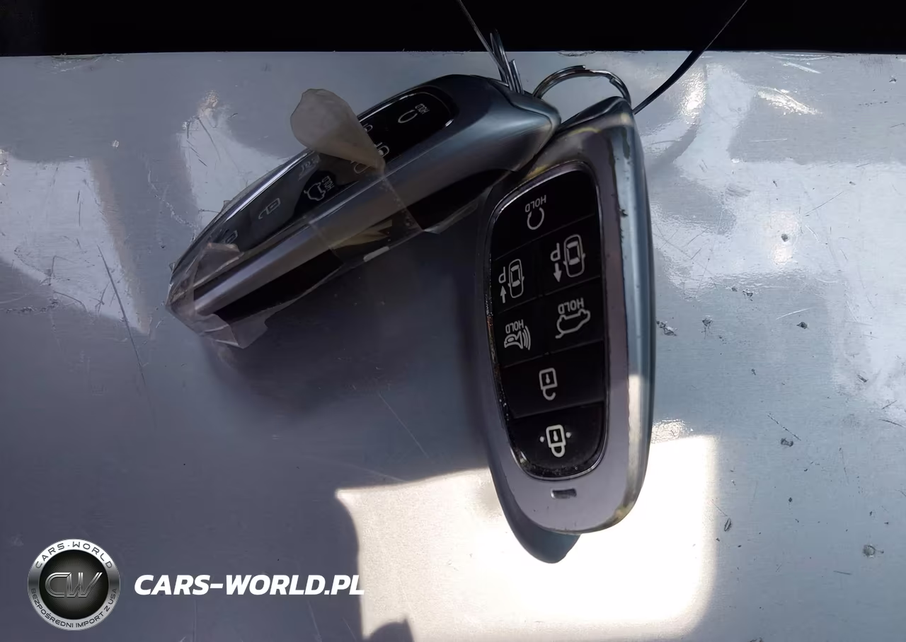 2023 Hyundai Santa Fe Calligraphy VIN:5NMS54AL6PH514391 - 11