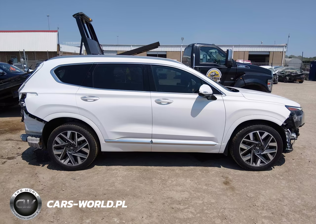 2023 Hyundai Santa Fe Calligraphy VIN:5NMS54AL6PH514391 - 14