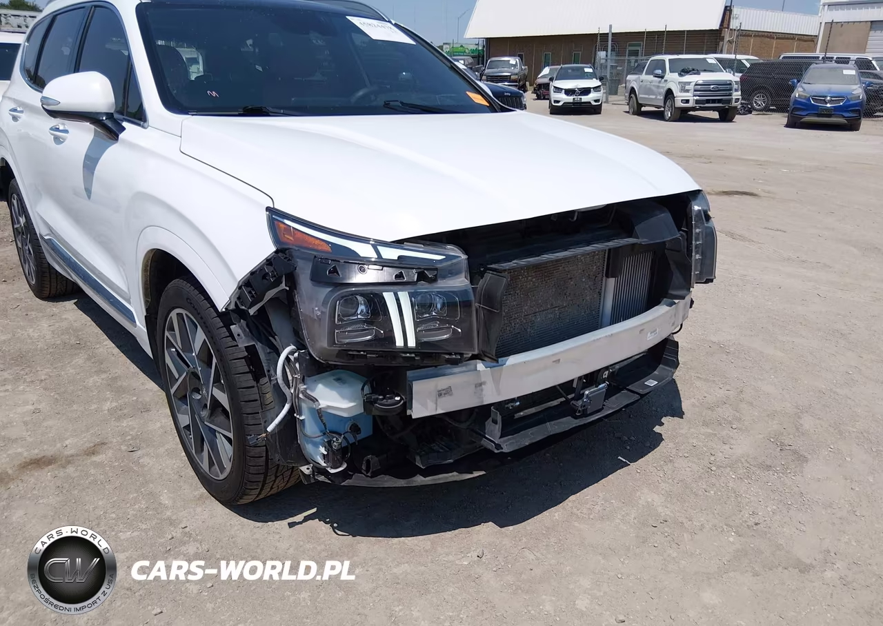2023 Hyundai Santa Fe Calligraphy VIN:5NMS54AL6PH514391 - 18